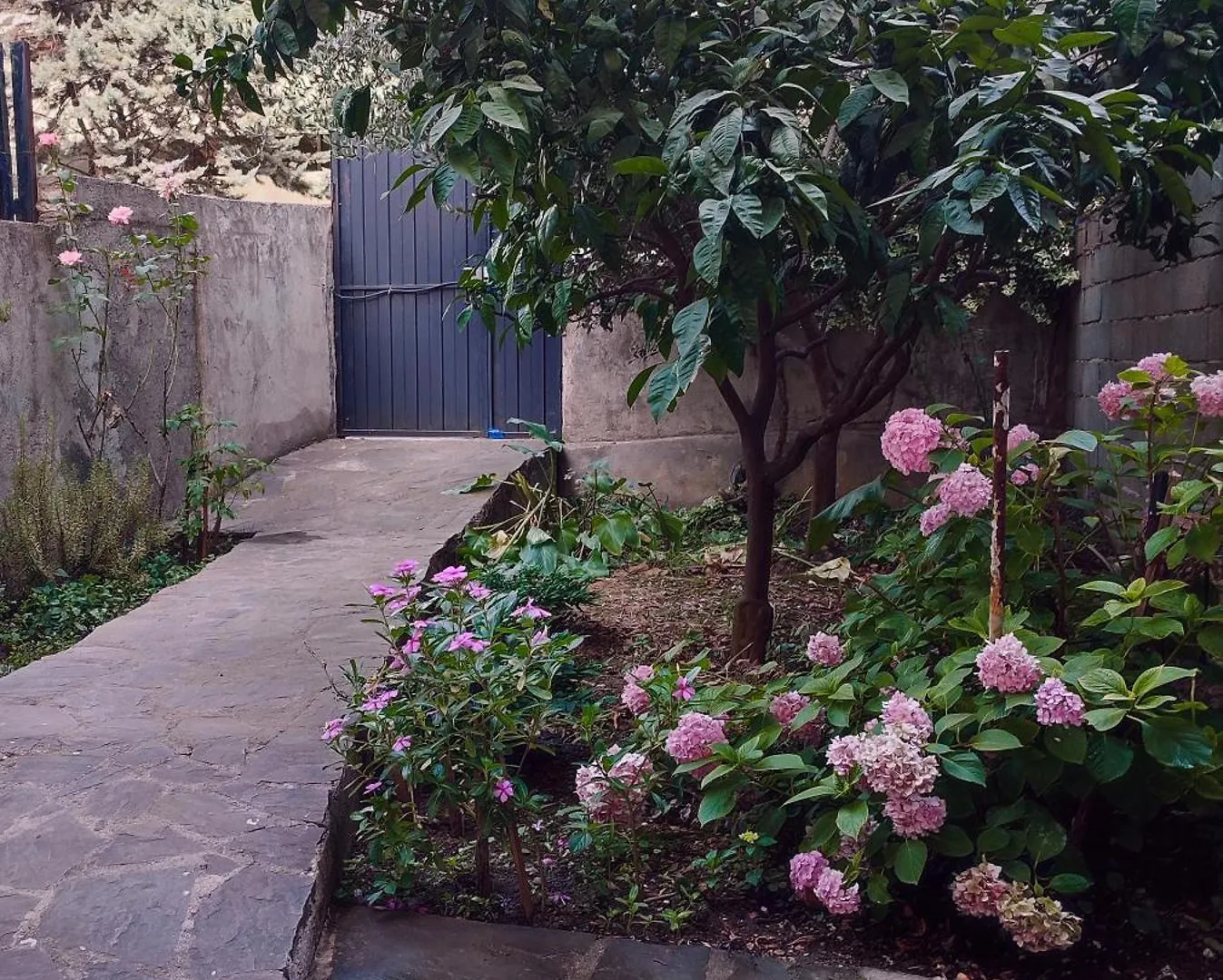 Bed & Breakfast Rooms Xani Tirana